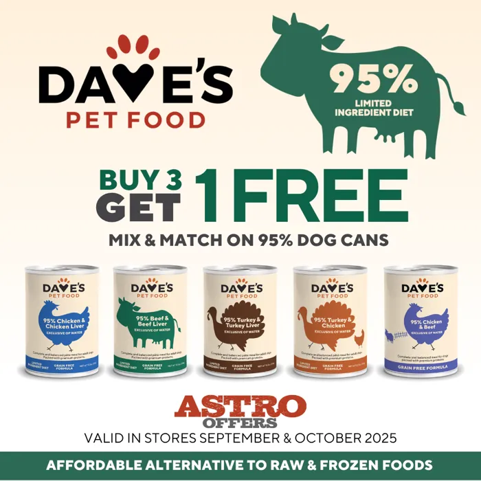 Promotion Image