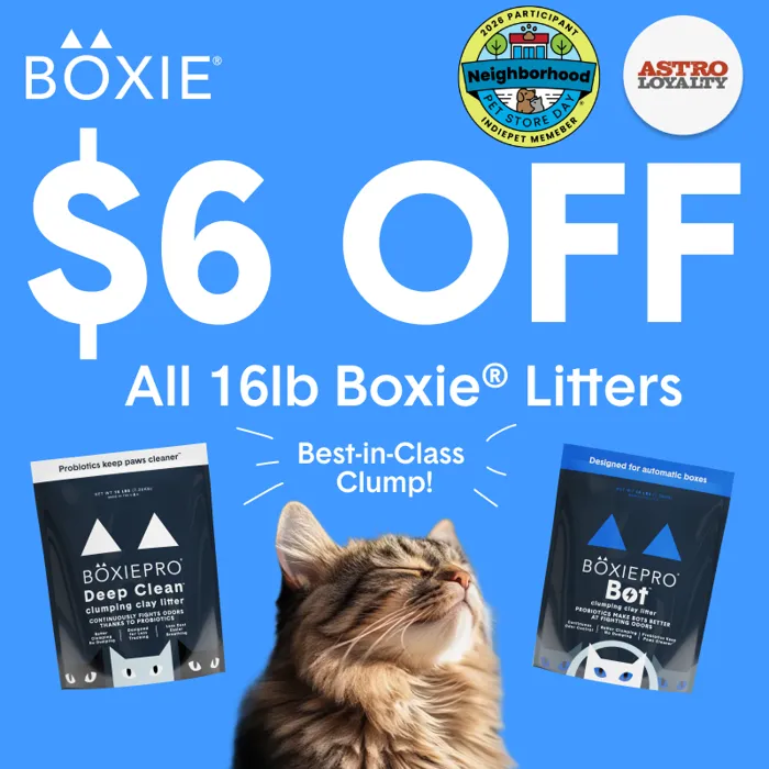 Promotion Image