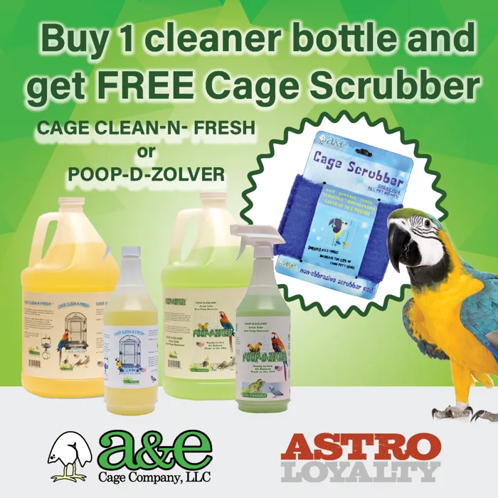 Promotion Image